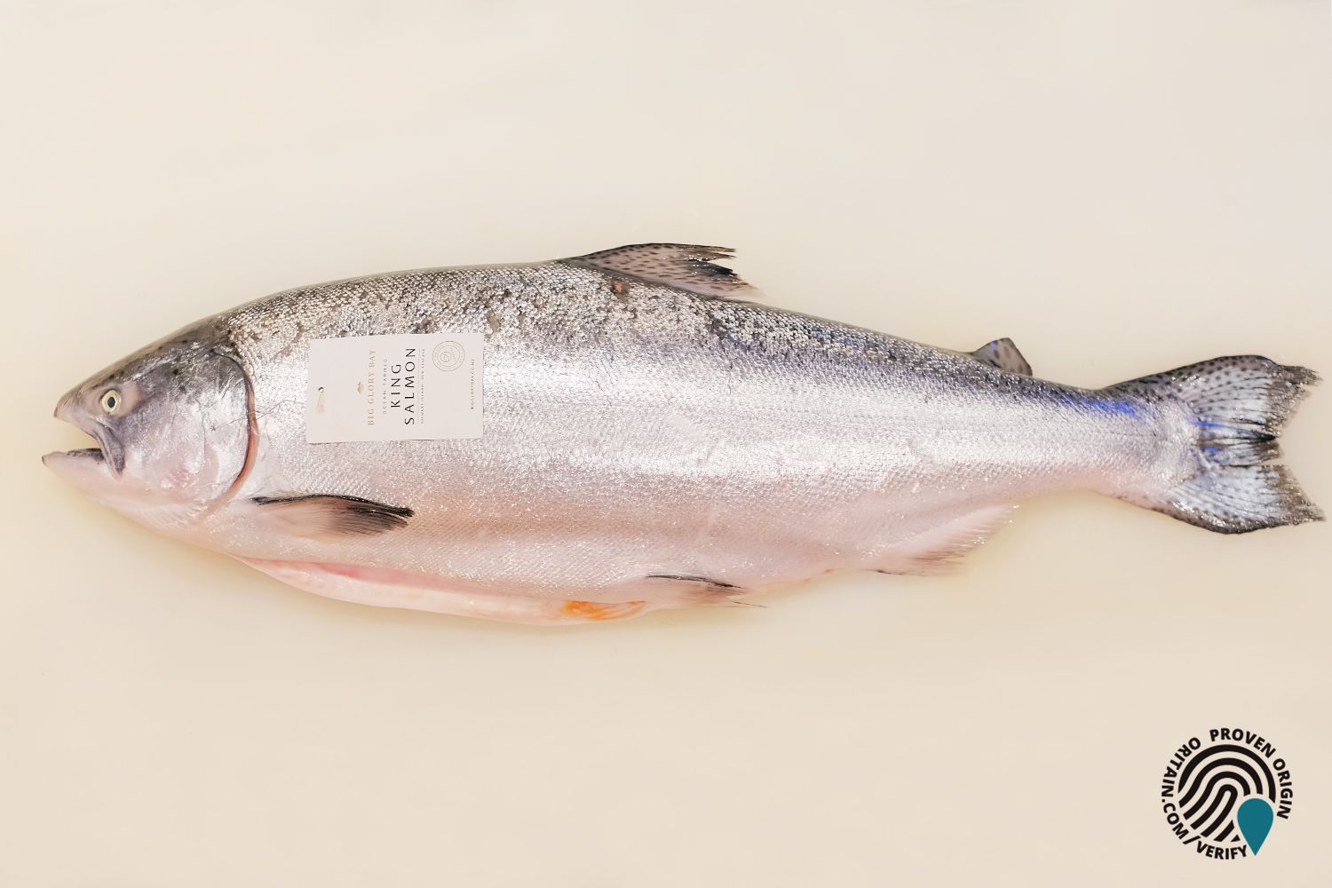 Sushi Hokkaido Sachi | Overcoming nearly 10,000km, the 'King of Salmon' from the South Pole of the world has landed at Sushi Hokkaido Sachi